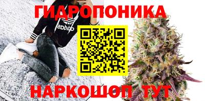 ешки Волгодонск