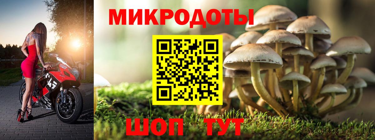Галлюциногенные грибы прущие грибы Родники